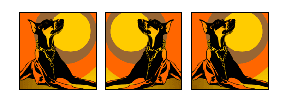 Hund Dobermann kupiert orange Pop Art Retro Bilder Tierportraits von bg-color.de