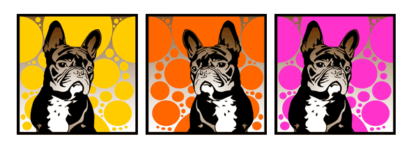 Hund französische Bulldogge 2 Frenchie Bully Pop Art Retro Bild Tierportraits von bg-color.de