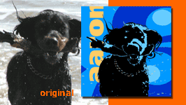 Pop Art Bilder: vorher / nachher Hund