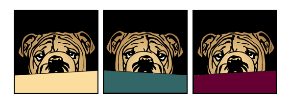 Hund englische Bulldogge british coloured Pop Art Retro Bild Tierportrait von bg-color.de