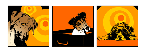 Pop Art und Retro-Design vom eigenen Haustier Hund
