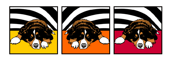 Hund Berner Sennenhund Pop Art Retro Bild Tierportrait von bg-color.de