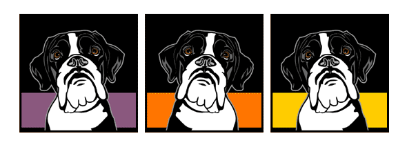 Hund Basset Basset-Hound Pop Art Retro Bild Tierportrait von bg-color.de