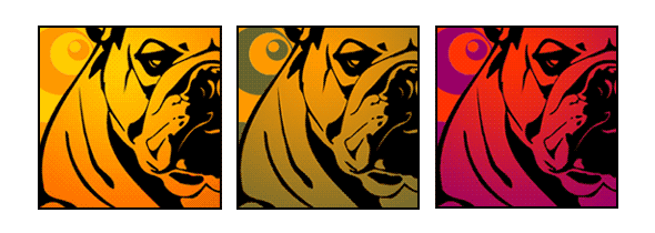 Hund englische Bulldogge Pop Art Retro Bild Tierportrait von bg-color.de