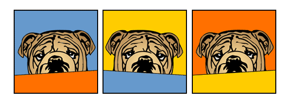 Hund englische Bulldogge 2 Pop Art Retro Bild Tierportrait von bg-color.de