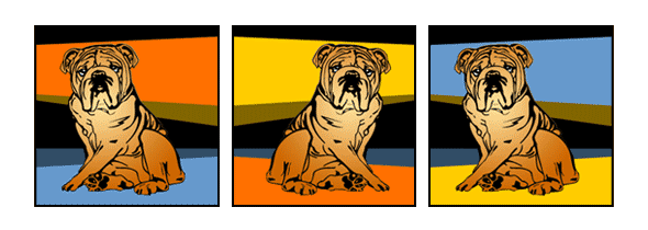 Hund englische Bulldogge Pop Art Retro Bild Tierportrait von bg-color.de