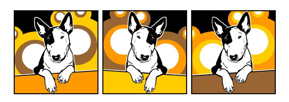 Hund Bullterrier 3 Miniatur Mini Bulli mit Monokel Pop Art Retro Bild Tierportrait von bg-color.de