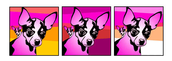 Hund Chihuahua pink Pop Art Retro Bild Tierportrait von bg-color.de