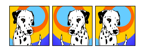 Hund Dalmatiner Pop Art Retro Bilder von bg-color.de