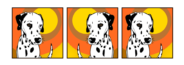 Hund Dalmatiner Pop Art Retro Bilder Tierportraits von bg-color.de