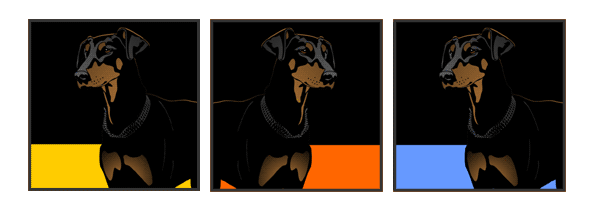 Hund Dobermann unkupiert Pop Art Retro Bild Tierportrait von bg-color.de