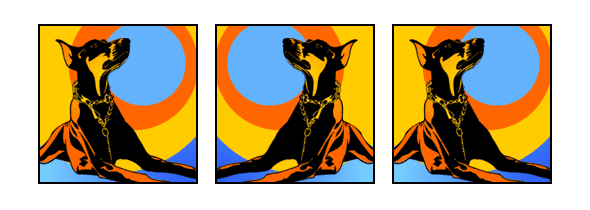 Hund Dobermann kupiert Pop Art Retro Bilder von bg-color.de
