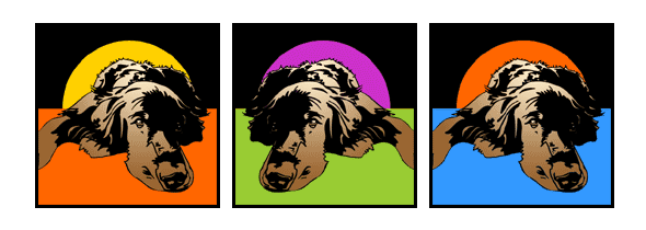 Hund Gordon Setter Pop Art Retro Bild Tierportrait von bg-color.de