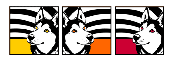 Hund Sebirian Husky 2 Pop Art Retro Bild Tierportrait von bg-color.de