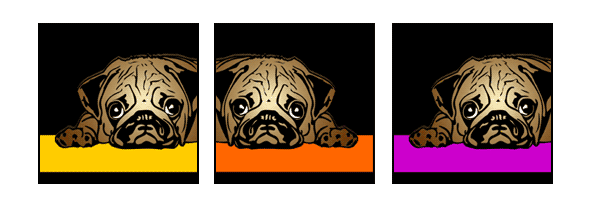 Hund Mops 2 Pop Art Retro Bild Tierportrait von bg-color.de