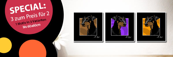 Bild aus Pop Art Galerie von bg-color.de bestellen Info zb.: Dobermann aus Serie Pop-Dogs