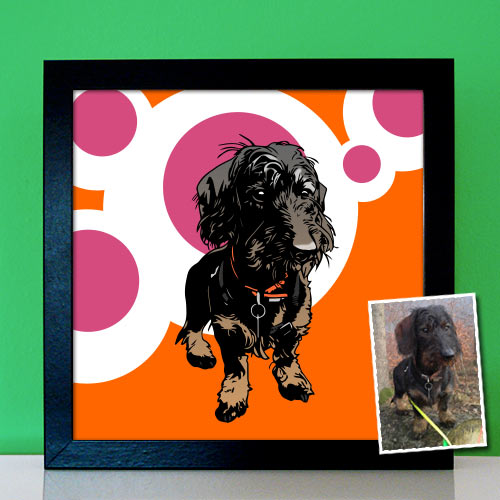 Rauhaardackel als Pop Art Kunstwerk malen lassen orange pink Retromuster