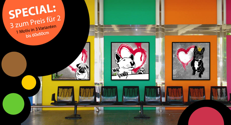 Pop Art Galerie mit Street-Art Hunde von Birgit Greger - bg-color.de