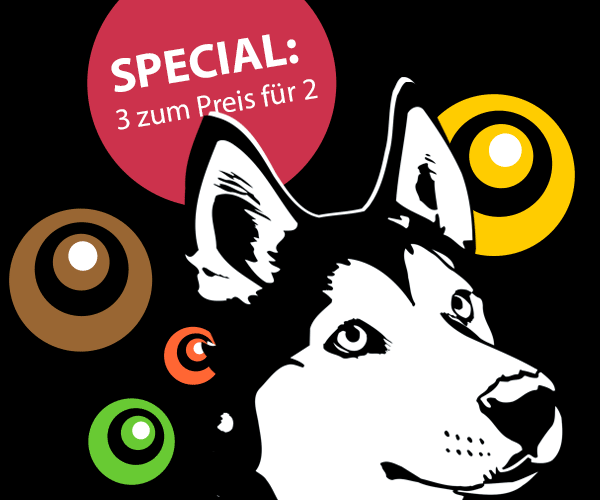 Pop Art Galerie Serie Retro-Dogs Hunde im 60er 70er Jahre Style von Birgit Greger - bg-color.de